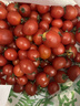 【東東買(mǎi)菜】皮薄多汁千禧果超甜小番茄當季孕婦水果新鮮圣女果 廣西帶箱5斤 4.6斤 凈重 曬單實(shí)拍圖