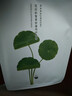 花印面膜補水保濕男女士改善熬夜肌純棉專(zhuān)利膜布護膚品生日禮物 積雪草面膜30片 曬單實(shí)拍圖