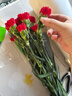 單頭康乃馨隨機色10支 曬單實(shí)拍圖