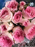 【仙氣滿(mǎn)滿(mǎn)】洛神玫瑰10枝 曬單實(shí)拍圖