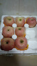 甜醉了 煙臺蘋(píng)果棲霞紅富士新鮮水果生鮮山東特產(chǎn)脆甜整箱平果禮盒禮品 紅富士?jì)糁?.5斤75-80mm 曬單實(shí)拍圖