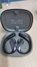 蛇圣天琴藍牙耳機掛耳式2026最新款無(wú)線(xiàn)運動(dòng)耳機開(kāi)放式跑步耳機不入耳骨傳導概念金榜第1名排行前十 曬單實(shí)拍圖
