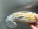 【全網(wǎng)熱銷(xiāo)】東北真空黃糯玉米大棒200g起軟糯拉絲真便宜京東包郵 真空玉米10根*220g 凈重 彩箱發(fā)貨 曬單實(shí)拍圖