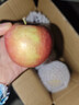京喜加山西運城紅富士蘋(píng)果10斤正宗當季現摘新鮮水果丑甜冰糖心整箱 1斤凈重0.6斤中果65-75mm 曬單實(shí)拍圖