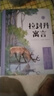 整本書(shū)共讀26春3年級克雷洛夫寓言拉封丹寓言 大林和小林居里夫人的故事 兩個(gè)小八路 點(diǎn)亮小橘燈三年級課外閱讀書(shū)目 全套六本 三年級閱讀書(shū)籍兒童文學(xué)故事書(shū) 整本書(shū)共讀【全套六本】 曬單實(shí)拍圖