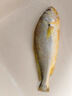 海名威 冷凍黃花魚(yú)700g/2條 寧德大黃魚(yú)地標認證 海鮮海魚(yú) 生鮮魚(yú)類(lèi) 曬單實(shí)拍圖
