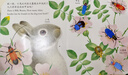 亮麗精美觸摸書(shū)-小兔比利（中英雙語(yǔ)）低幼認知繪本 幼兒?jiǎn)⒚煞抡嬗|感觸摸書(shū) 【0-2歲】 寶寶繪本省錢(qián)卡  曬單實(shí)拍圖