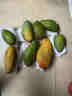 趣嘗鮮海南貴妃芒 凈重5斤 單果120-200g 即食芒果 源頭直發(fā) 曬單實(shí)拍圖