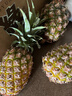 京鮮生 海南金鉆鳳梨 凈重4.5-5斤 單果650g  生鮮水果 源頭直發(fā) 曬單實(shí)拍圖