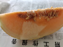 京鮮生 天山一號 黃金哈密瓜 1粒裝 單果2.4斤起 生鮮水果  曬單實(shí)拍圖