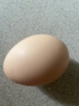 山林新鮮雞蛋鮮雞蛋當日現撿生鮮買(mǎi)菜單枚40g左右 當日現撿土雞蛋10枚 曬單實(shí)拍圖