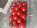 廣西紅色圣女果小番茄新鮮水果沙拉新鮮 超實(shí)惠帶箱5斤凈重4.7斤 曬單實(shí)拍圖