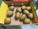 京盟主新西蘭陽(yáng)光金果同款奇異果黃心獼猴桃新鮮孕婦水果當季整箱禮盒 陽(yáng)光金果【禮盒裝12只】單果90-110g 曬單實(shí)拍圖