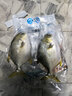 環(huán)球水產(chǎn)南海金鯧魚(yú)凈重2斤/2條生鮮魚(yú)類(lèi)深海魚(yú)海鮮清蒸紅燒火鍋 曬單實(shí)拍圖