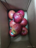 新西蘭加力果GALA皇家嘎啦蘋(píng)果進(jìn)口新鮮脆甜當季水果大果整箱 2斤【小果 約8顆】精選品質(zhì) 新西蘭進(jìn)口皇家嘎啦果Royal gala 曬單實(shí)拍圖