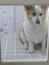 寵智迪寵物烘干箱中型犬狗狗貓咪洗澡烘干機家用可折疊柯基柴犬吹水機 130L烘干箱【40斤內5面出風(fēng)高速風(fēng)力鋼化玻璃門(mén)】 曬單實(shí)拍圖
