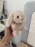 Jellycat米色甜美小兔小短腿公仔動(dòng)物毛絨玩偶娃娃送禮生日禮物 甜美小兔 One Size 曬單實(shí)拍圖