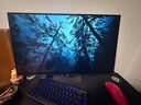 華碩ROG XG27AQDMGR 27英寸2K電競顯示器2K 240Hz顯示器OLED 0.03ms響應HDR400 G-SYNC HDMI2.1顯示器 曬單實(shí)拍圖