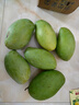 玖原農珍 源頭直采青皮金煌芒果當季現摘優(yōu)選甜心芒果 新鮮水果 含箱5斤凈重4.5斤優(yōu)選級果 曬單實(shí)拍圖