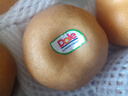 都樂(lè )Dole 秋月梨 核心產(chǎn)區直發(fā) 脆甜多汁 凈重1.6kg 4-6枚簡(jiǎn)裝 曬單實(shí)拍圖
