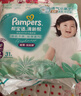 幫寶適超薄透氣清新幫拉拉褲新生兒嬰兒尿不濕尿片透氧Pro XL62 曬單實(shí)拍圖