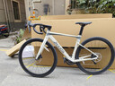 喜德盛公路自行車(chē)AD300油碟UCI車(chē)架2x10速中空一體牙盤(pán)桶軸破風(fēng)車(chē) 白蛇 480mm（適合身高165-175cm） 曬單實(shí)拍圖