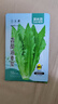 菜禾地 油麥菜種子苗四季易種植速生青菜蔬菜種籽 香甜油麥菜種子2000粒 曬單實(shí)拍圖