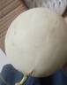 京喜加海南玉菇甜瓜蜜瓜新鮮水果批發(fā)冰激凌甜瓜軟糯甜瓜 5斤（凈重4.5斤） 曬單實(shí)拍圖