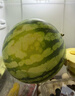 京鮮生 麒麟無(wú)籽西瓜 1粒裝 凈重7-9斤 生鮮水果 曬單實(shí)拍圖