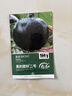 壽禾圓茄子種子苗紫黑鮮嫩秋季蔬菜種籽 濰育黑豹二號種子100粒*2袋 曬單實(shí)拍圖