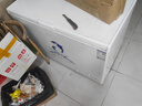澳柯瑪（AUCMA）307升單溫冷柜家用減霜大冰柜 冷藏柜冷凍柜轉換臥式冰箱雪糕柜一級能效 BC/BD-307HNE 以舊換新 曬單實(shí)拍圖