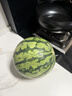 京鮮生 無(wú)籽麒麟西瓜 凈重7-9斤 1粒裝 生鮮水果源頭直發(fā)包郵 曬單實(shí)拍圖