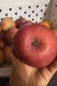 京鮮生山東煙臺紅富士蘋(píng)果凈重8斤單果80mm+生鮮水果源頭直發(fā) 曬單實(shí)拍圖