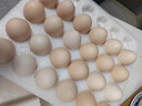 京鮮生【供港品質(zhì)】【每日鮮蛋】無(wú)抗谷物雞蛋30枚3.78斤當日產(chǎn)蛋當日發(fā) 曬單實(shí)拍圖