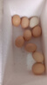 流油咸鴨蛋60g-70g/枚飽滿(mǎn)流油菜市場(chǎng)超市早餐即食散養鴨真空包裝 10枚 曬單實(shí)拍圖