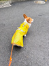 歡寵網(wǎng)狗狗雨衣全包四腳寵物狗小狗大型犬柯基雨披雨天遛狗防水防濕護肚 曬單實(shí)拍圖