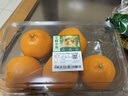 【產(chǎn)地直采】春見(jiàn)耙耙柑 約950g 曬單實(shí)拍圖