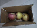京喜加山西運城紅富士蘋(píng)果10斤正宗當季現摘新鮮水果丑甜冰糖心整箱 1斤凈重0.6斤中果65-75mm 曬單實(shí)拍圖