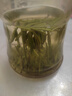 青針雀舌 春茶2026新茶雀舌翠芽茶葉正宗明前特級綠茶嫩芽濃香型茶葉 雀舌 全嫩芽 罐裝 250g*1罐 曬單實(shí)拍圖