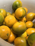 廣西脆皮小金桔應當季新鮮孕婦水果現摘脆蜜冰糖金桔橘子整箱 3斤 大果【35-40個(gè)/斤】 曬單實(shí)拍圖