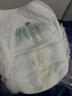 babycare一整夜拉拉褲XL32片(12-17kg)大吸量透氣夜用安睡嬰兒尿不濕 曬單實(shí)拍圖