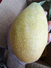 京鮮生海南金煌芒果 凈重4.5斤超大果 單果400g+ 新鮮水果 源頭直發(fā) 曬單實(shí)拍圖