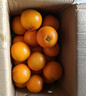 天樂(lè )優(yōu)選【拍二合一】湖南懷化冰糖橙新鮮橙子水果當季整箱果凍甜橙爆汁 凈重4.5斤單果60-65g（甄選果） 曬單實(shí)拍圖