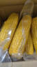 佳農 東北水果玉米棒2.8斤 6-7包 真空包裝 開(kāi)袋即食 可烘培 源頭直發(fā) 曬單實(shí)拍圖