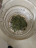青針雀舌 春茶2026新茶雀舌翠芽茶葉正宗明前特級綠茶嫩芽濃香型茶葉 雀舌 全嫩芽 罐裝 250g*1罐 曬單實(shí)拍圖