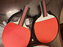 紅雙喜（DHS） SH橫直對拍初學(xué)者訓練比賽乒乓球拍橫直套裝01 曬單實(shí)拍圖