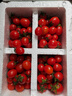 【東東買(mǎi)菜】廣西正宗冰糖小番茄圣女果生鮮新鮮蔬菜 單果8g+ （帶箱5斤） 4.5斤 凈重 曬單實(shí)拍圖