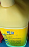 欖菊洗潔精大桶裝20kg菊之語(yǔ)商用檸檬洗滌靈餐具果蔬清洗劑食品用級別 曬單實(shí)拍圖