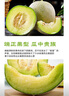 京鮮生 海南網(wǎng)紋蜜瓜 4-6粒裝 凈重10斤起 生鮮水果禮盒  曬單實(shí)拍圖