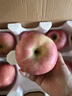 京地達煙臺棲霞紅富士蘋(píng)果凈重4.5斤單果約198g煙臺蘋(píng)果水果源頭直發(fā) 曬單實(shí)拍圖